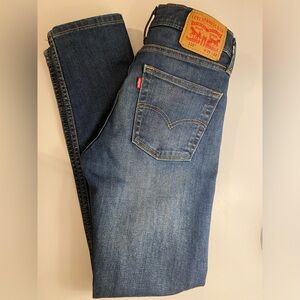 Levi’s 510 Skinny Fit | Size 29 x 32